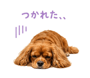 843401670