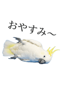 843401699