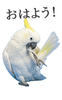 843401700