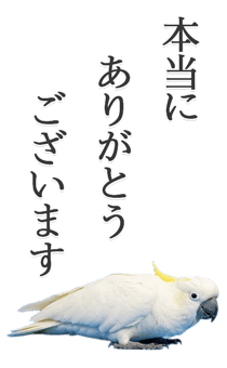 843401701