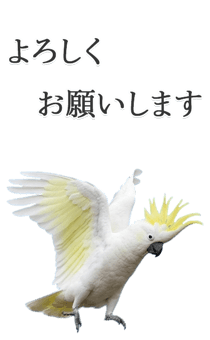 843401705