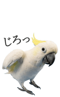 843401731