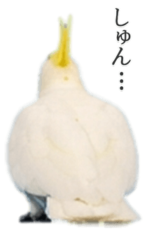 843401735