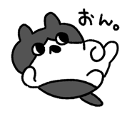 843402684