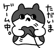 843402704