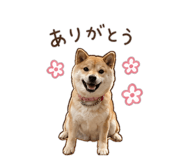 843404138