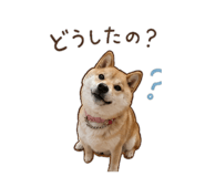 843404139