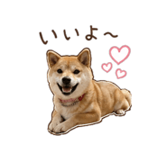 843404140