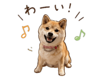 843404141