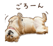 843404142