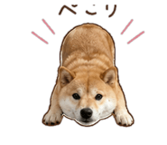 843404143