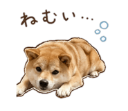 843404144