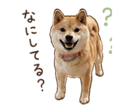 843404146