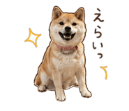 843404147