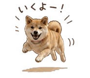 843404148