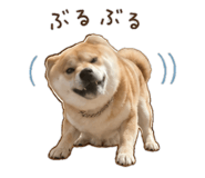 843404150