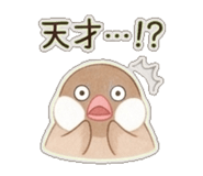 843404341