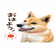 843405145