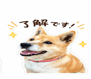 843405146