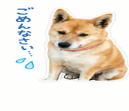 843405149