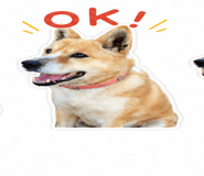 843405150