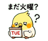 843405372