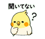 843405376