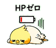 843405382