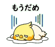 843405386