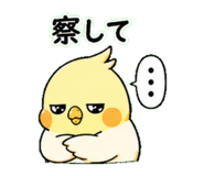 843405387