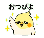 843405389