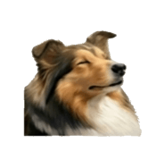 843405938