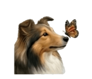 843405942
