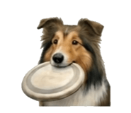 843405943