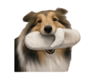 843405958