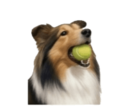 843405968