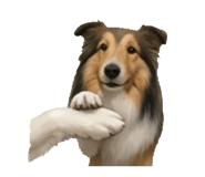 843405972