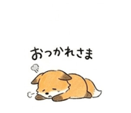 843406613