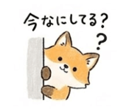 843406616