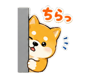 843407648
