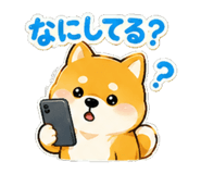 843407658