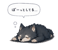 843407749