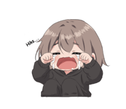 843408041