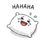 843408803