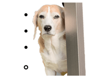 843408834