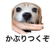 843408836