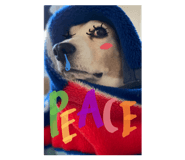 843408843