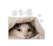 843409485