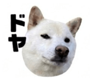 843410398