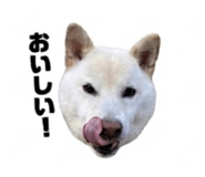 843410400